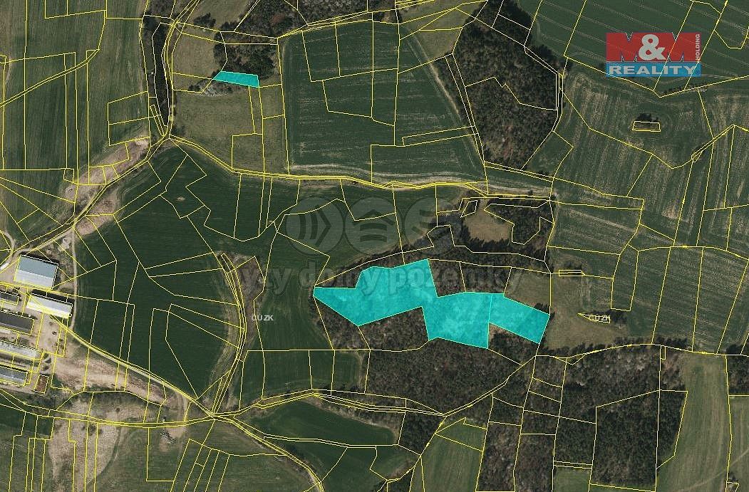Les · Úlehle, okres Strakonice, Jihočeský kraj - 1