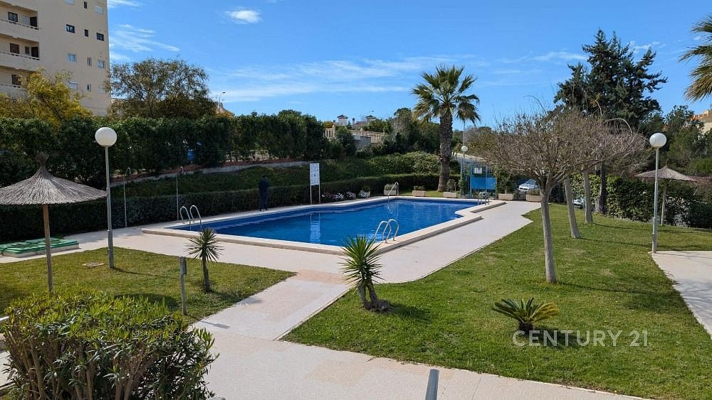 1+kk, Torrevieja, Alicante, Španělsko, 30 m² - 2