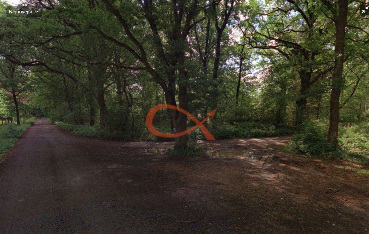 Prodej les - Mýto, 9 m²