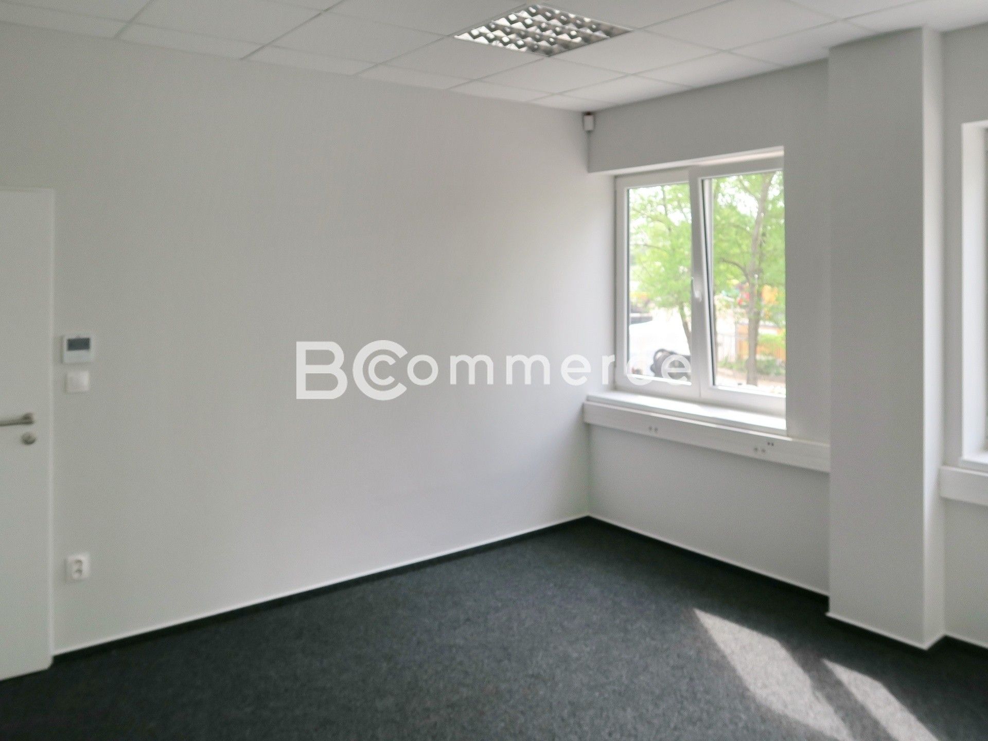 Pronájem kancelář - Brněnské Ivanovice, Brno, 240 m²