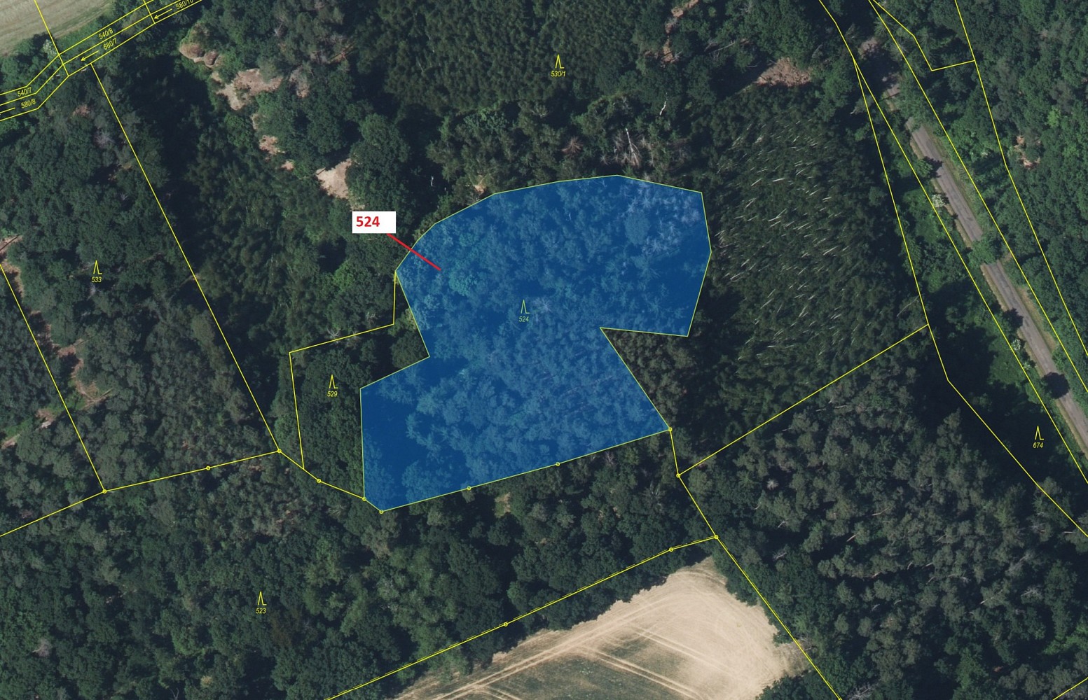 Les · Střemy - 2