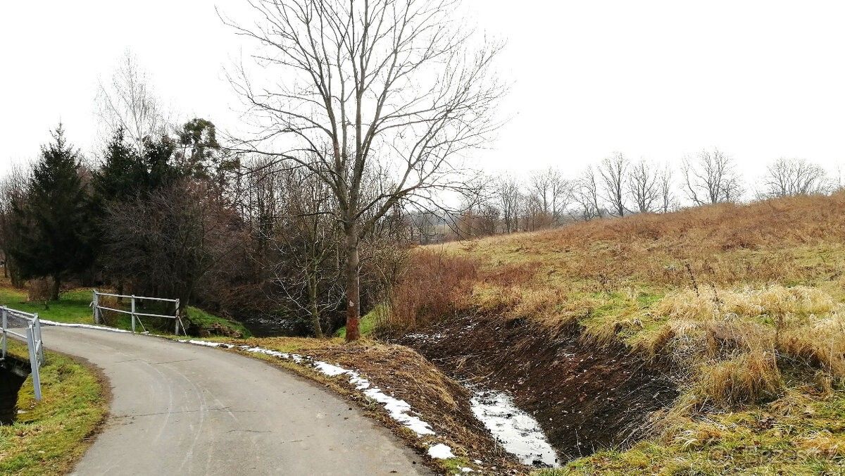 Prodej les - Bělotín, 753 64, 13 000 m²