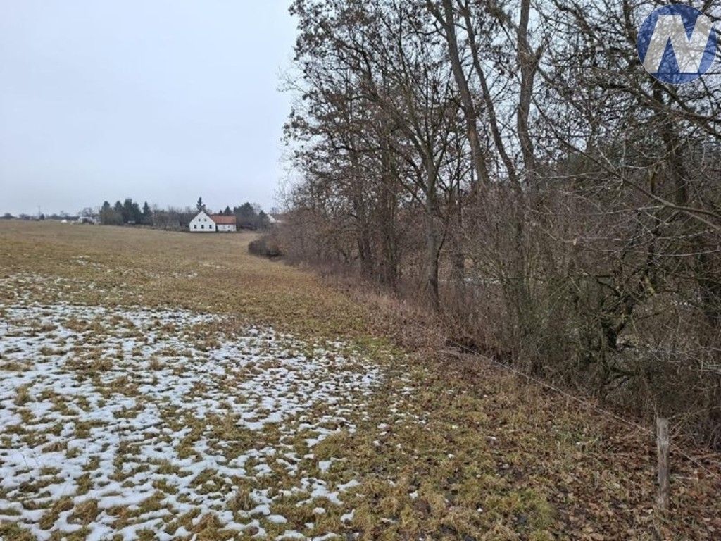 Les · 759 m² · Lčovice - 4