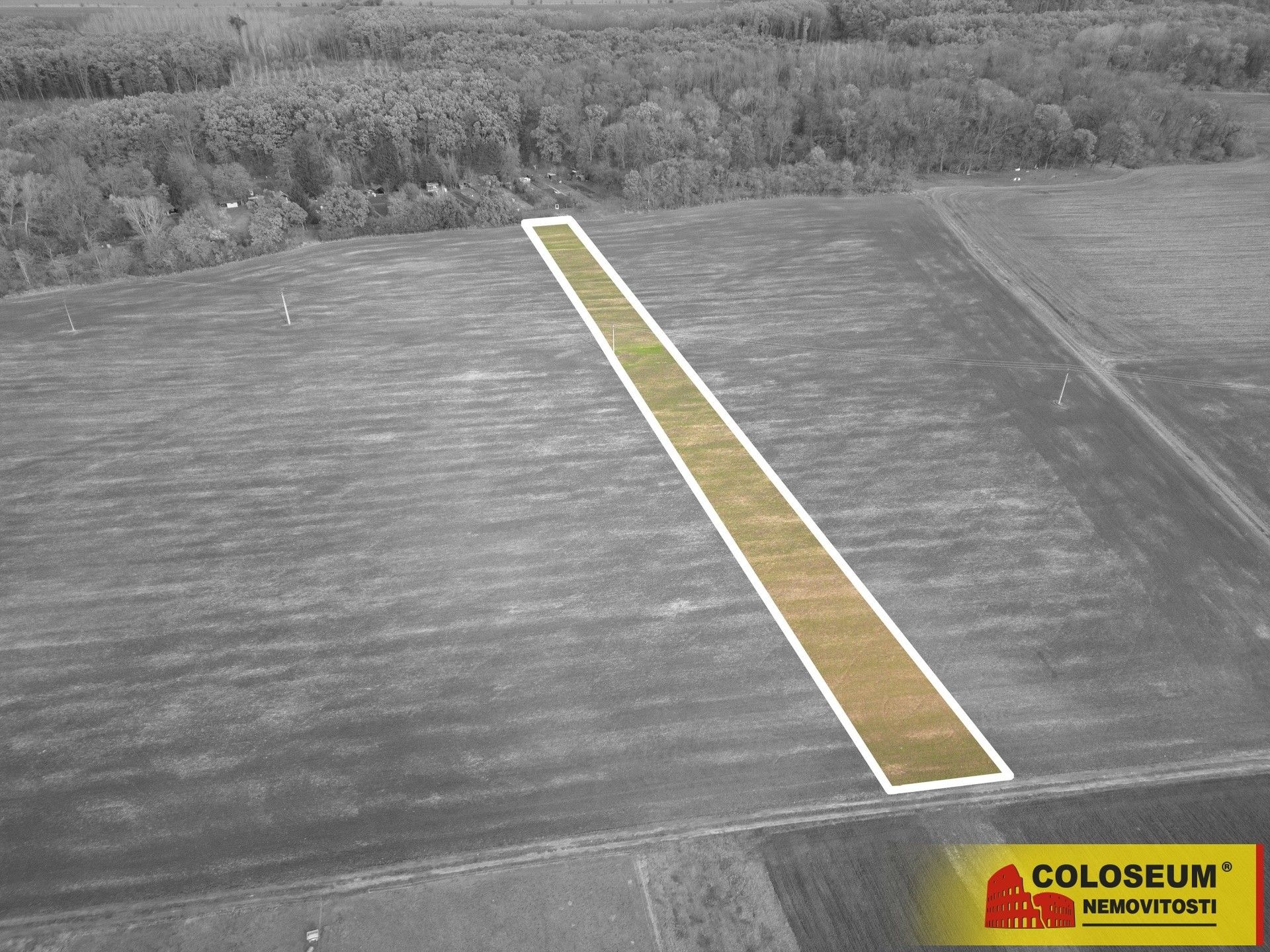 Pozemky pro bydlení, Přísnotice, 3 803 m²