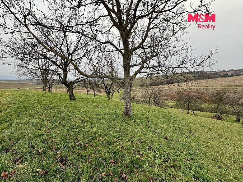 Zahrada · Bezuchov, okres Přerov, Olomoucký kraj - 4