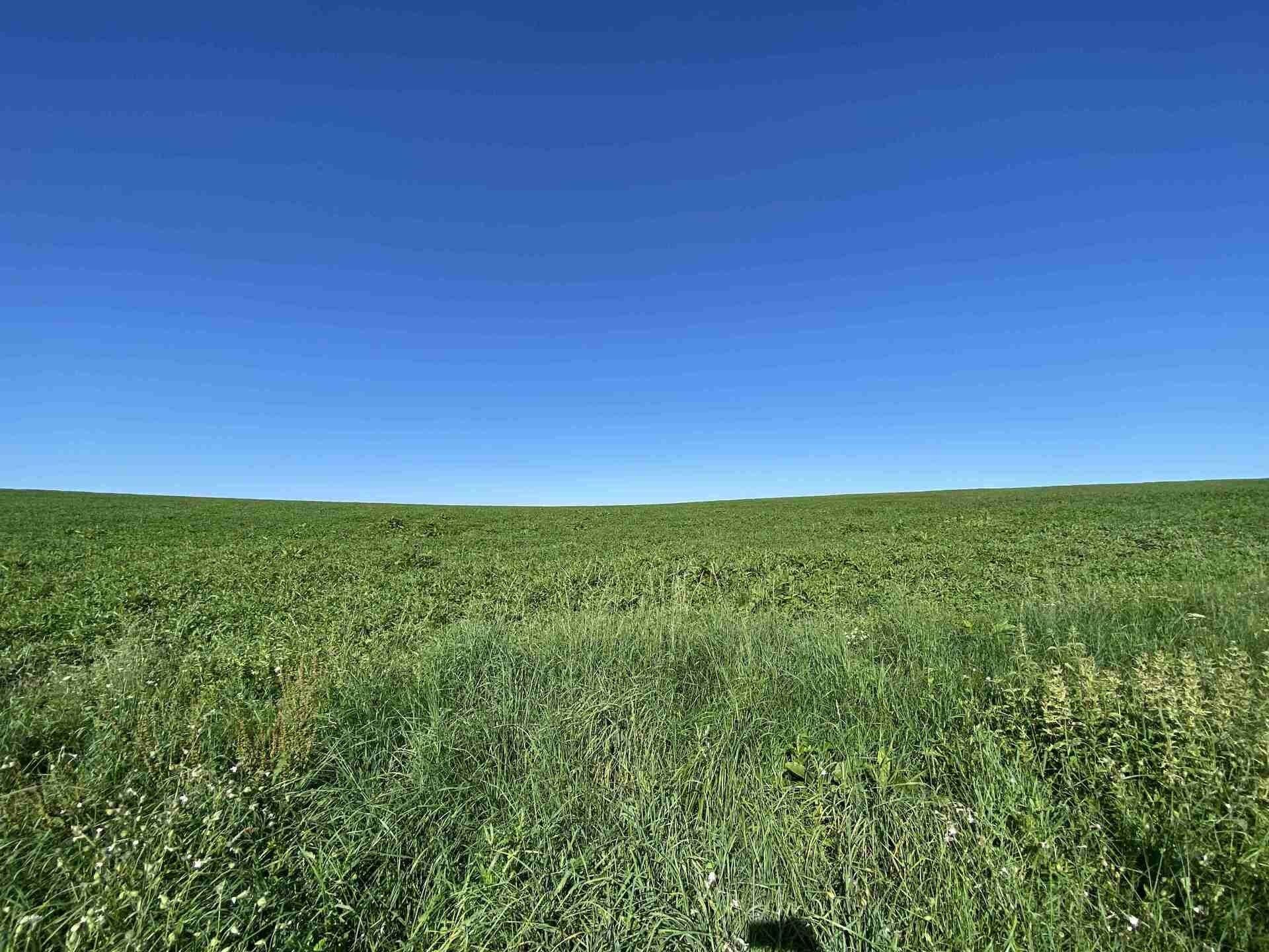 Prodej zemědělský pozemek - Křešín, 6 m²