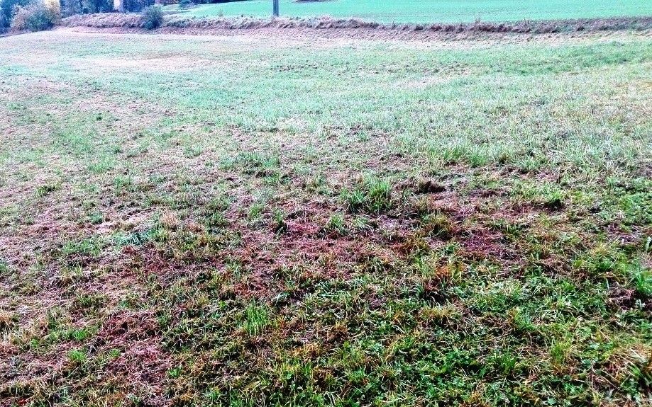 Pozemky pro bydlení, Mohelnice, 789 85