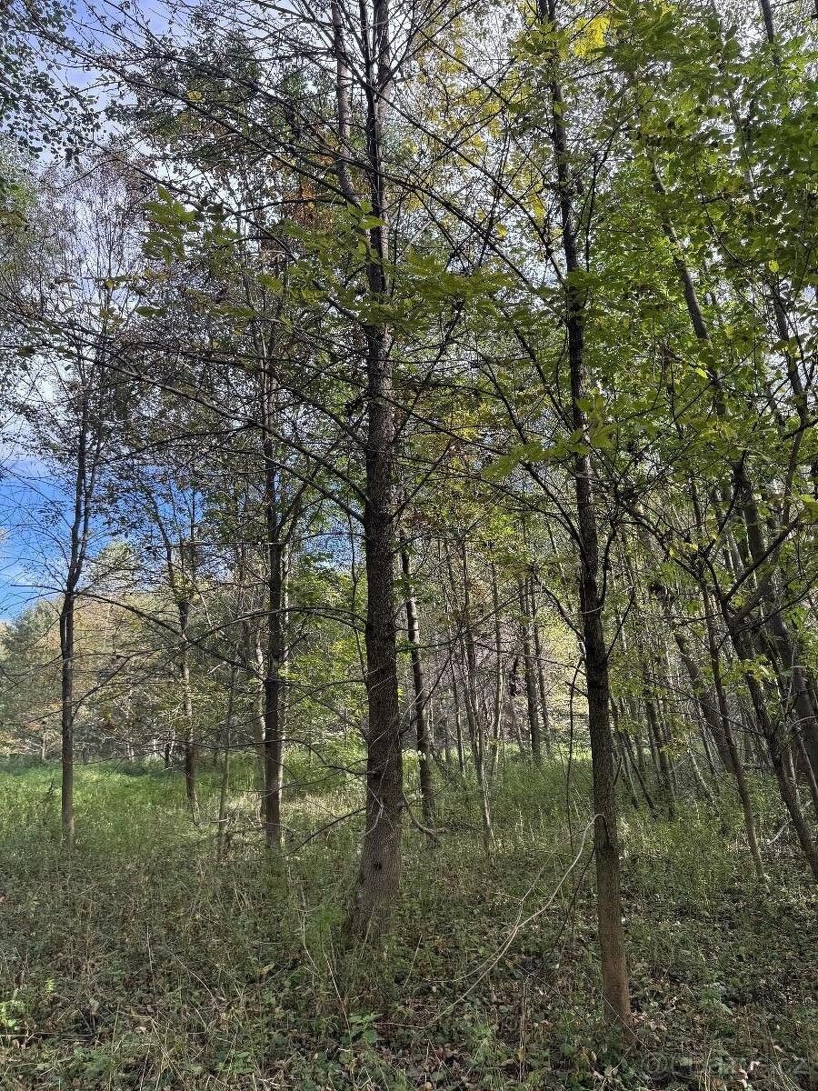 Pozemky pro bydlení, Bohumín, 735 81