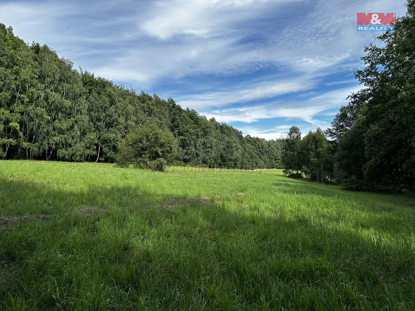 Louka · Petrovice u Karviné - Prstná, okres Karviná, Moravskoslezský kraj - 3