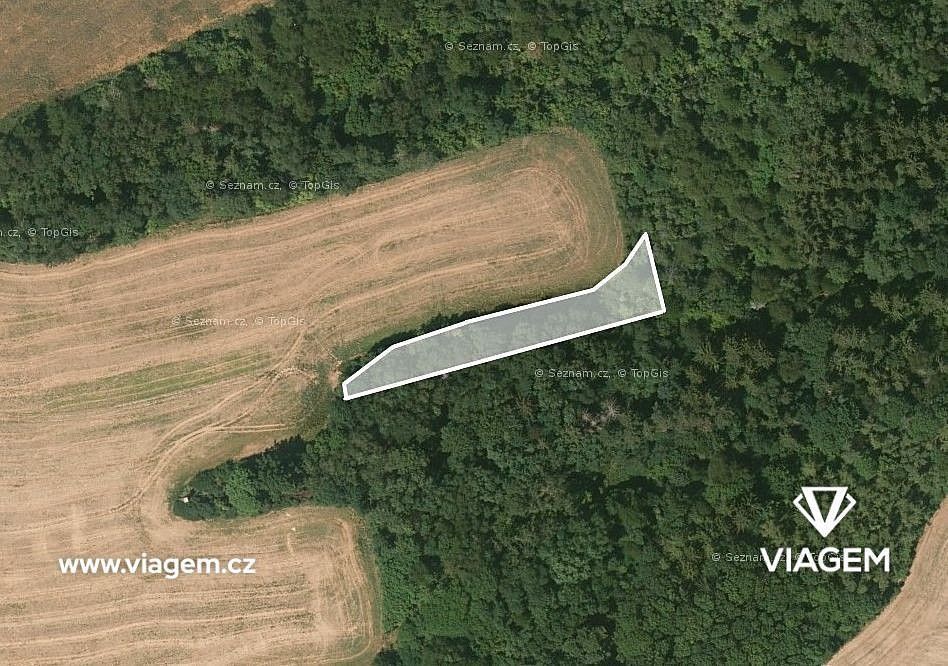Prodej les - Pavlíkov, okres Rakovník, Středočeský kraj - 1