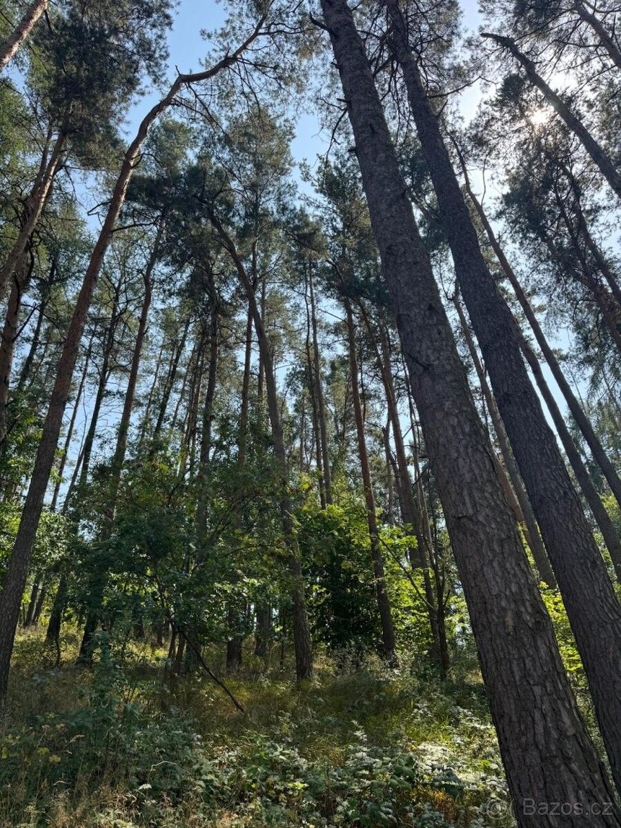 Pozemek pro bydlení · Volenice, 387 16 - 3