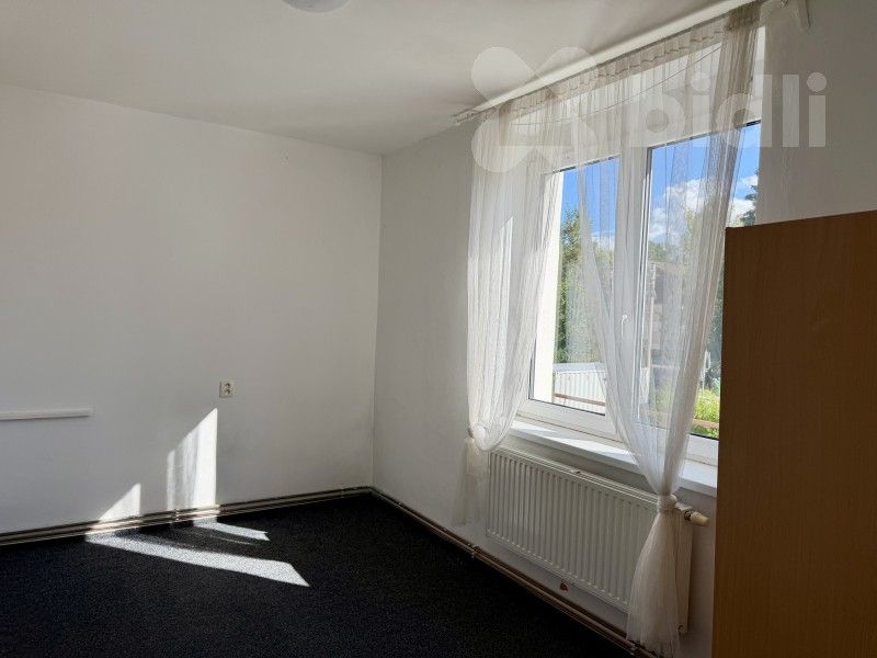 Pronájem byt 2+1 - Na Nábřeží 77, Svratka, 42 m² - 5