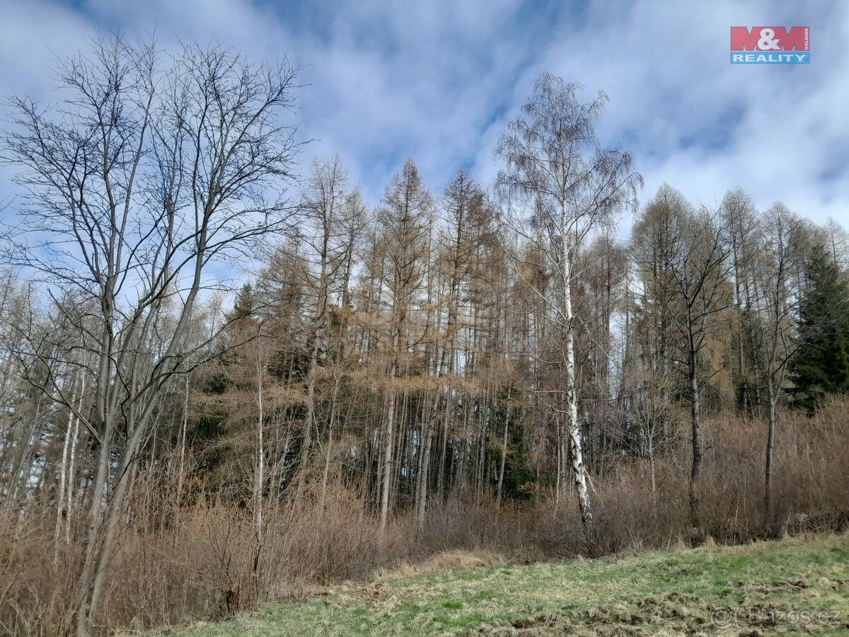 Lesy, Čkyně, 384 81, 5 083 m²