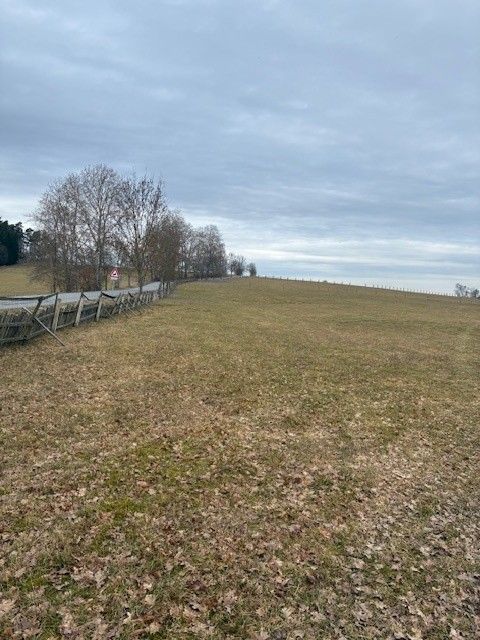 Pozemky pro bydlení, Trhový Štěpánov, 257 63