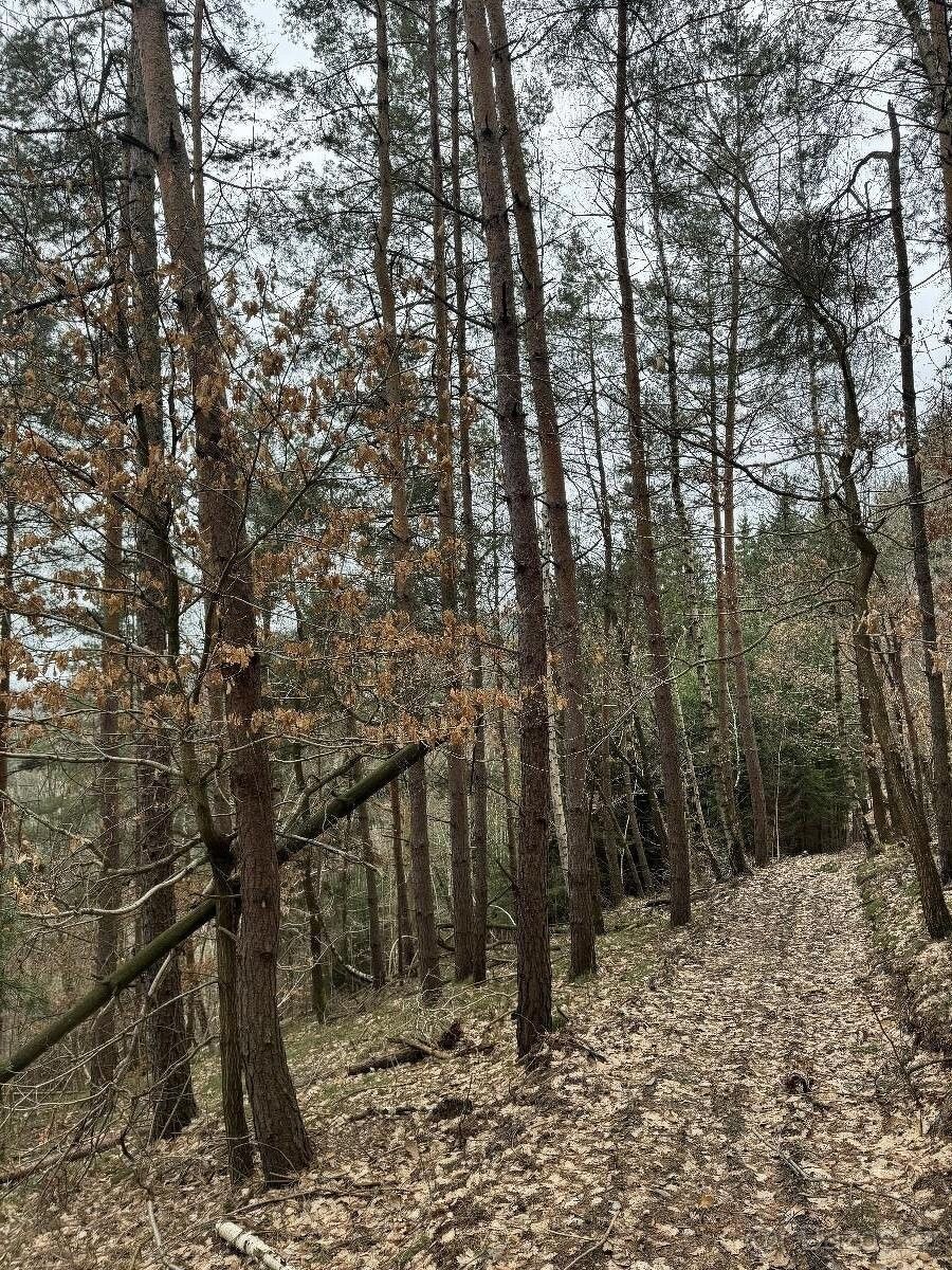 Pozemky pro bydlení, Železný Brod, 468 22