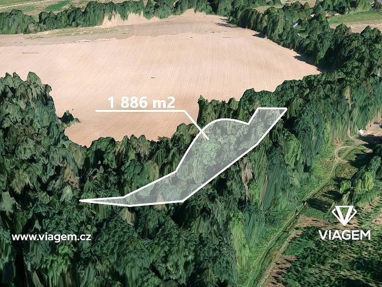 Prodej les - Neveklov, okres Benešov, Středočeský kraj - 1