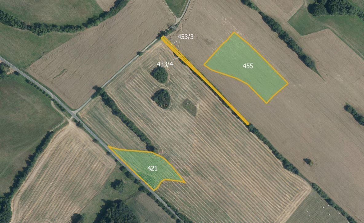 Prodej zemědělský pozemek - Zborov