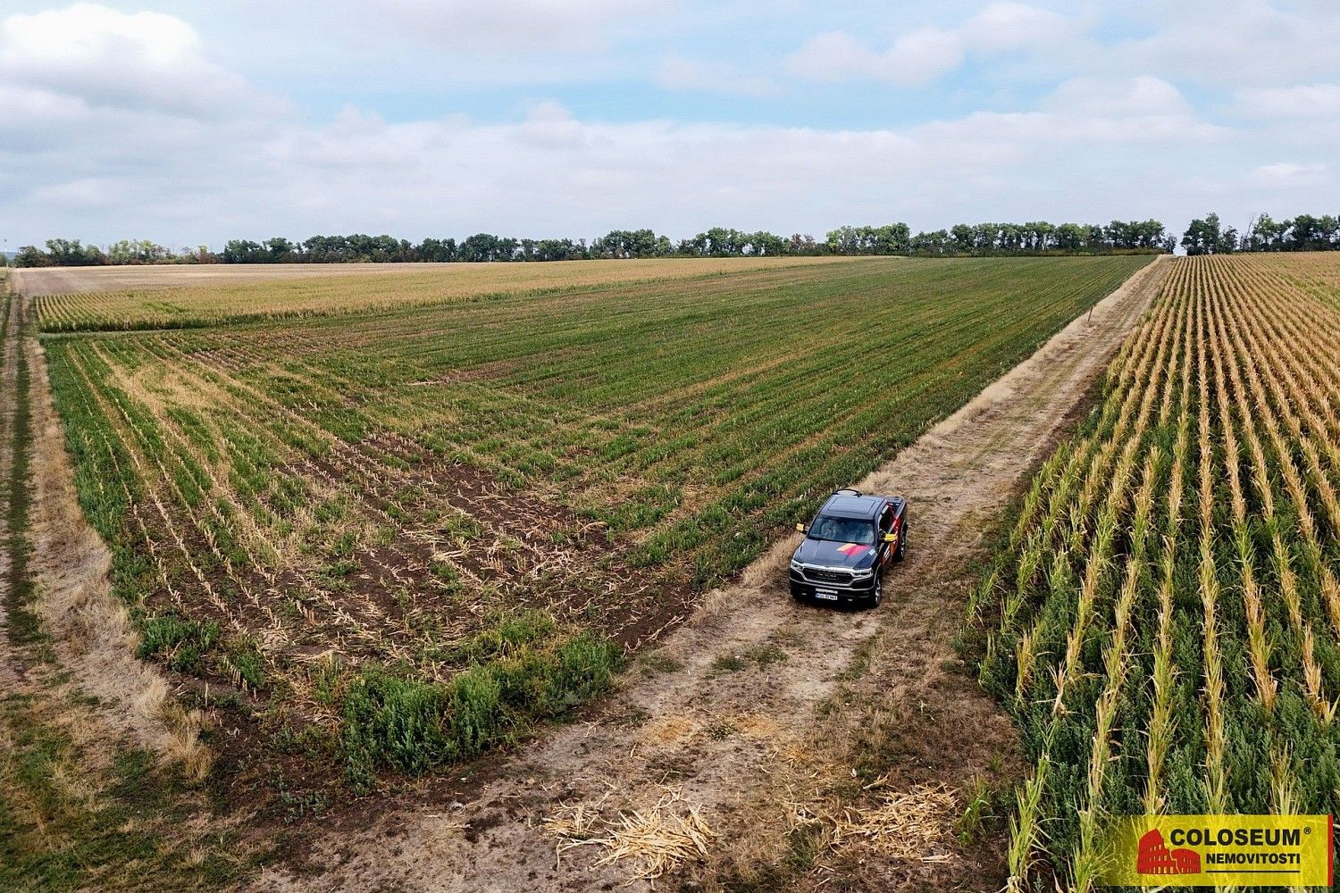 Zemědělský pozemek, 90 016 m²