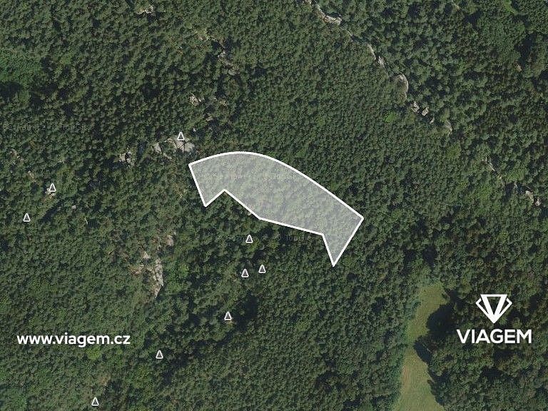 Les · Mírová pod Kozákovem, okres Semily, Liberecký kraj - 2