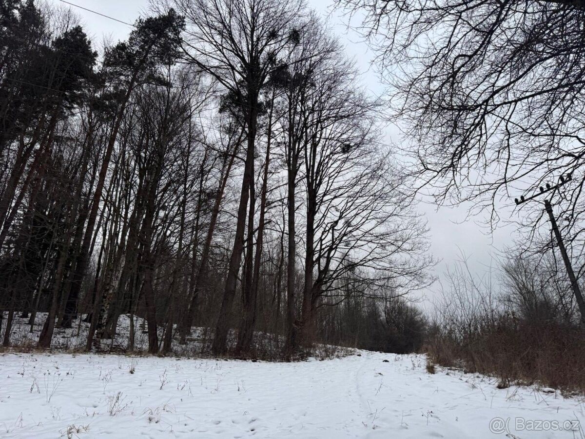 Prodej pozemek pro bydlení - Valašská Bystřice, 756 27 - 5