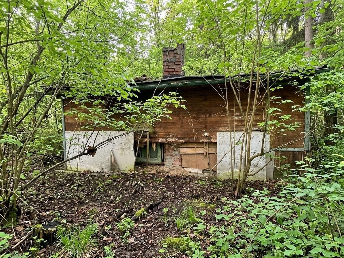 Lesy, Štíty, 373 m²