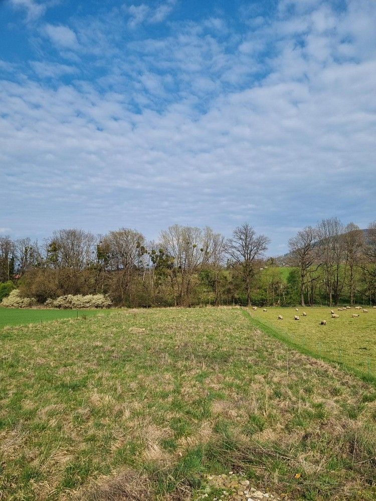 Pronájem zemědělský pozemek - Štramberk, okres Nový Jičín, Moravskoslezský kraj - 1