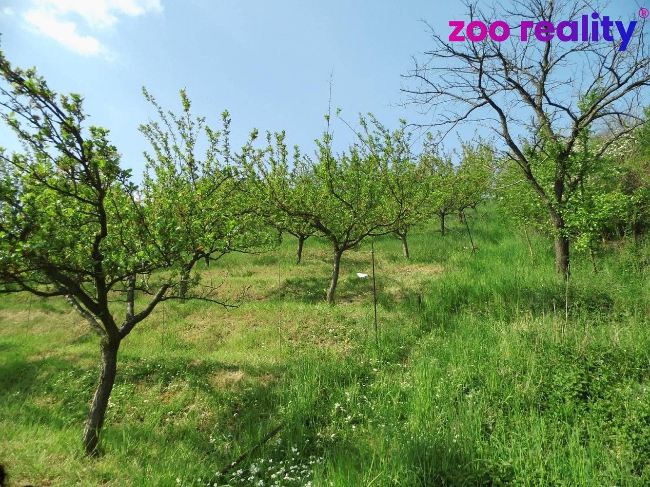 Prodej rodinný dům - Trnovany, okres Litoměřice, Ústecký kraj, 43 m² - 2