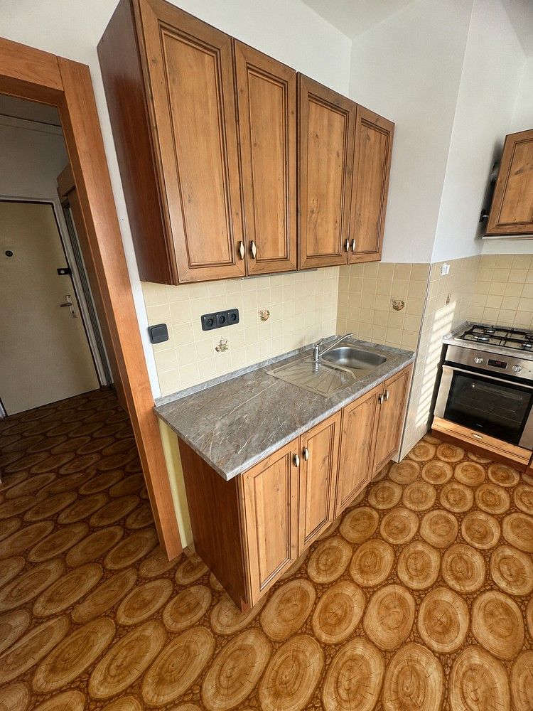 Byt 1+1 · 42 m² · Ústí nad Orlicí, Pardubický kraj - 3