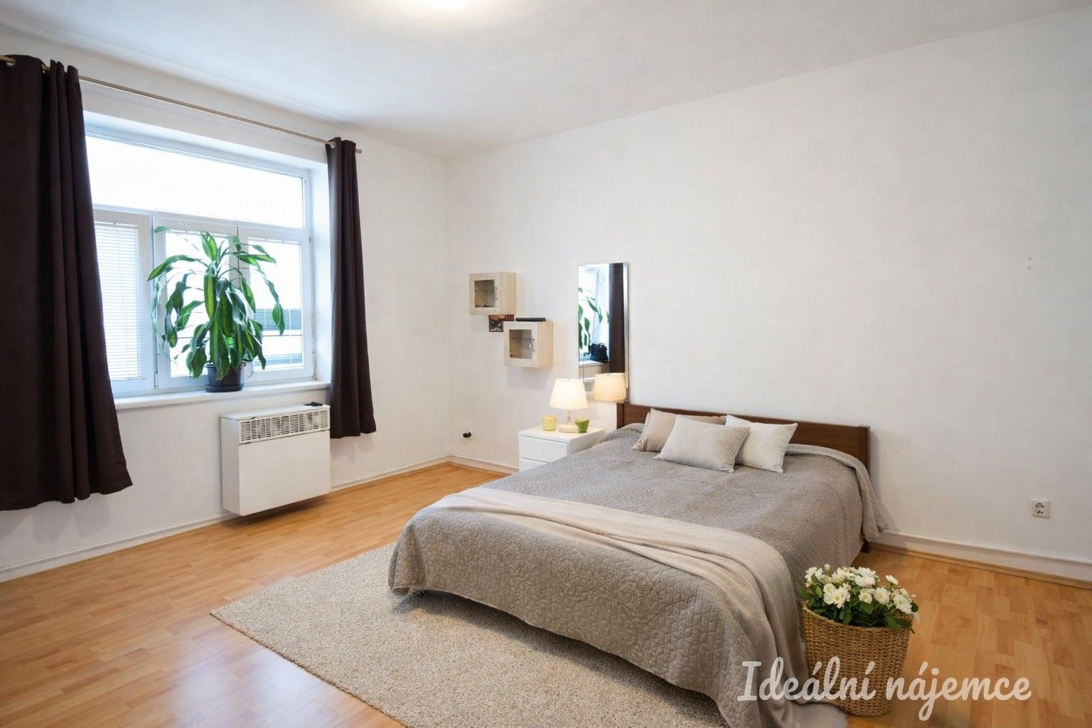 1+1, Hlaváčkova, Brno, 40 m²