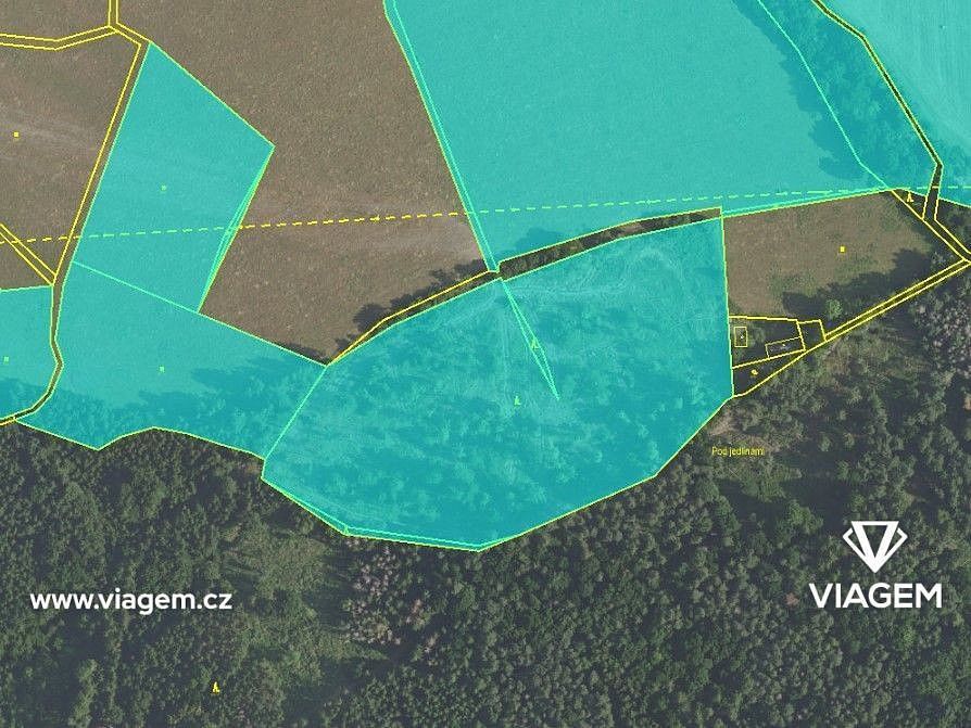 Les · Čím, okres Příbram, Středočeský kraj - 4