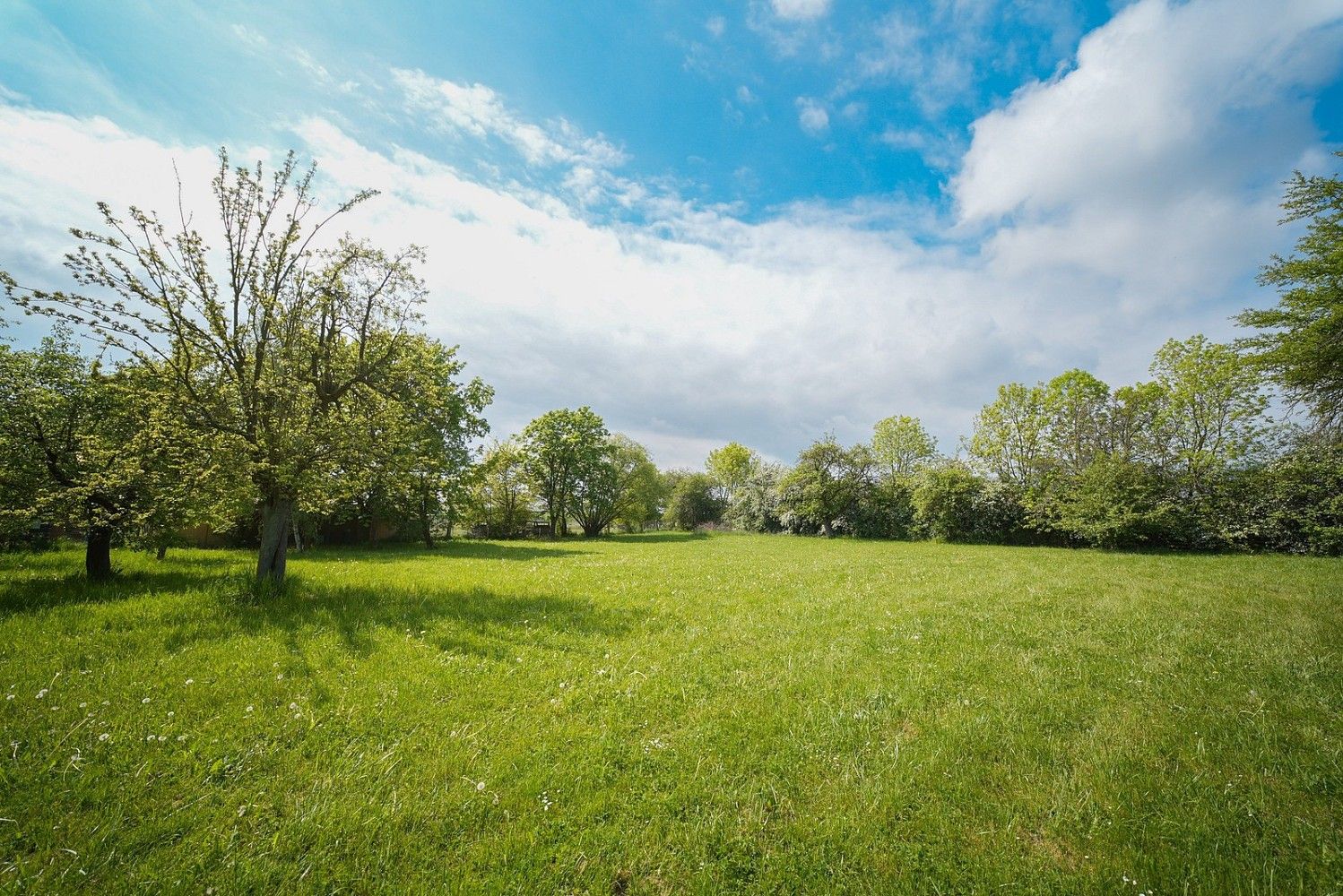 Pozemek pro bydlení · Praskačka - Sedlice, okres Hradec Králové - 4