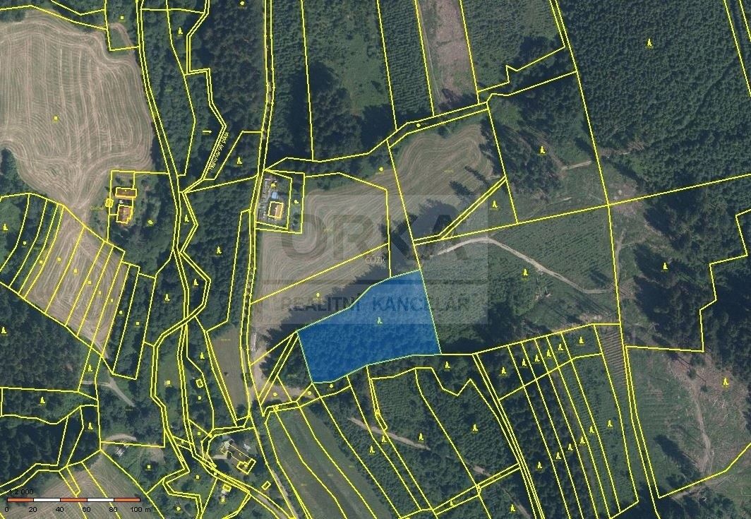 Prodej les - Hošťálková u Vsetína, 756 22, 31 890 m²