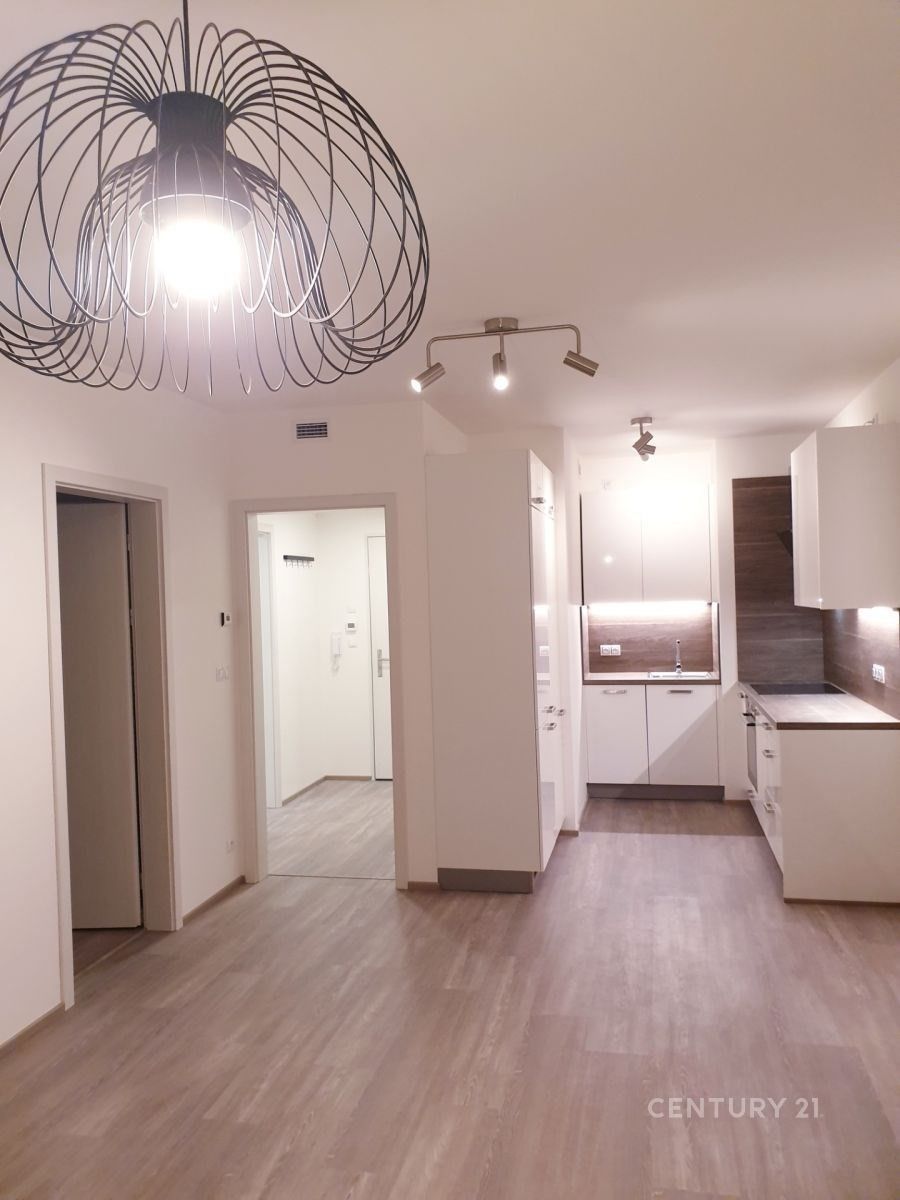 Pronájem byt 2+kk - U Radosti, Praha, 46 m²