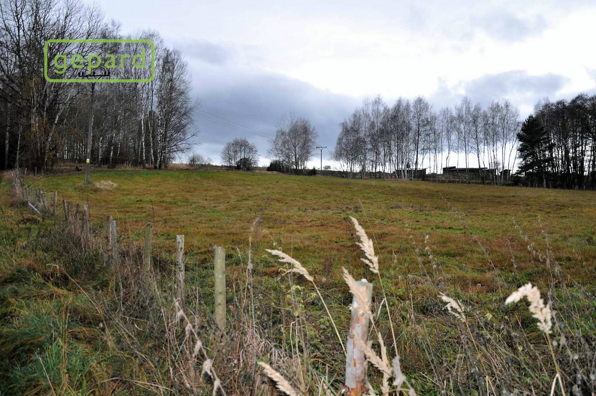 Zemědělský pozemek · 4 674 m² · Trhové Sviny - 4