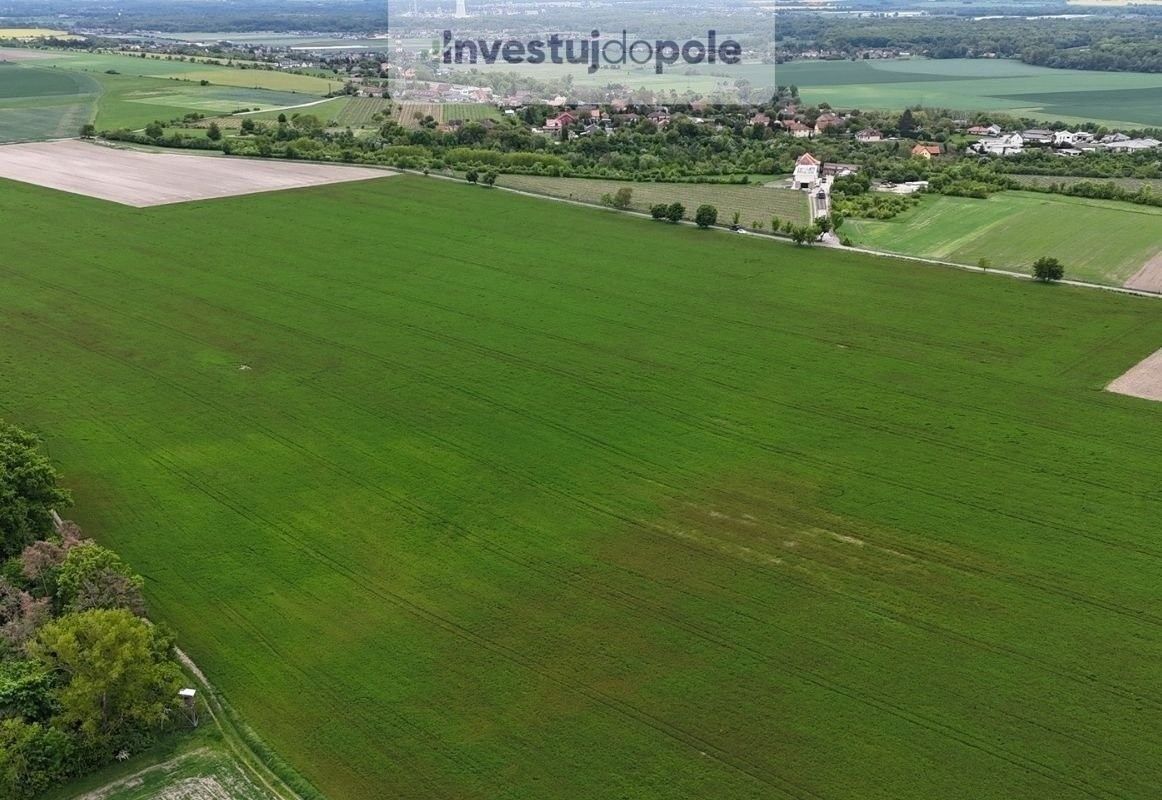 Prodej zemědělský pozemek - Velký Borek, 13 936 m²