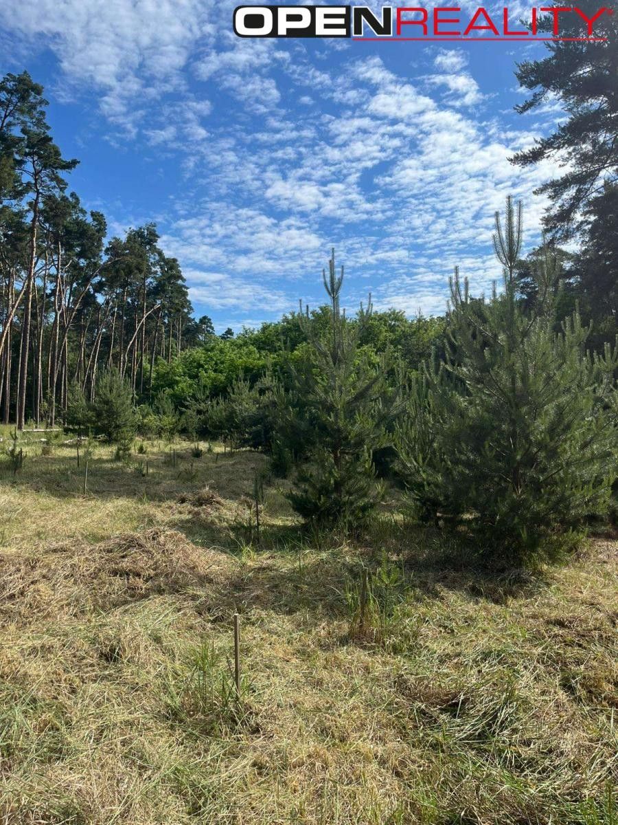 Lesy, Vracov, 8 713 m² - 1
