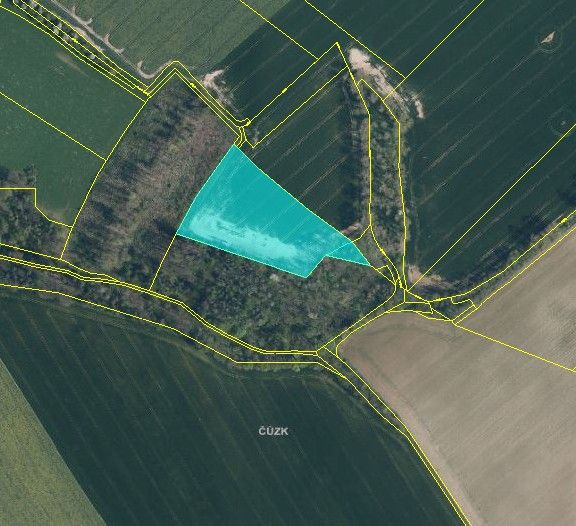 Prodej zemědělský pozemek - Skalsko, 294 26, 14 546 m²