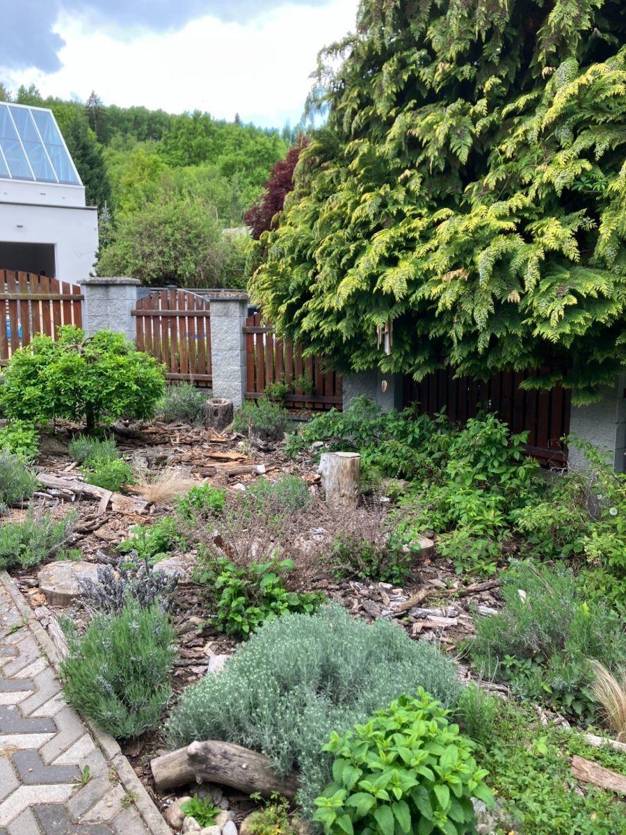 Rodinný dům · 240 m² · Na Prášilkách, Černá Hora - Černá Hora, Jihomoravský kraj - 4