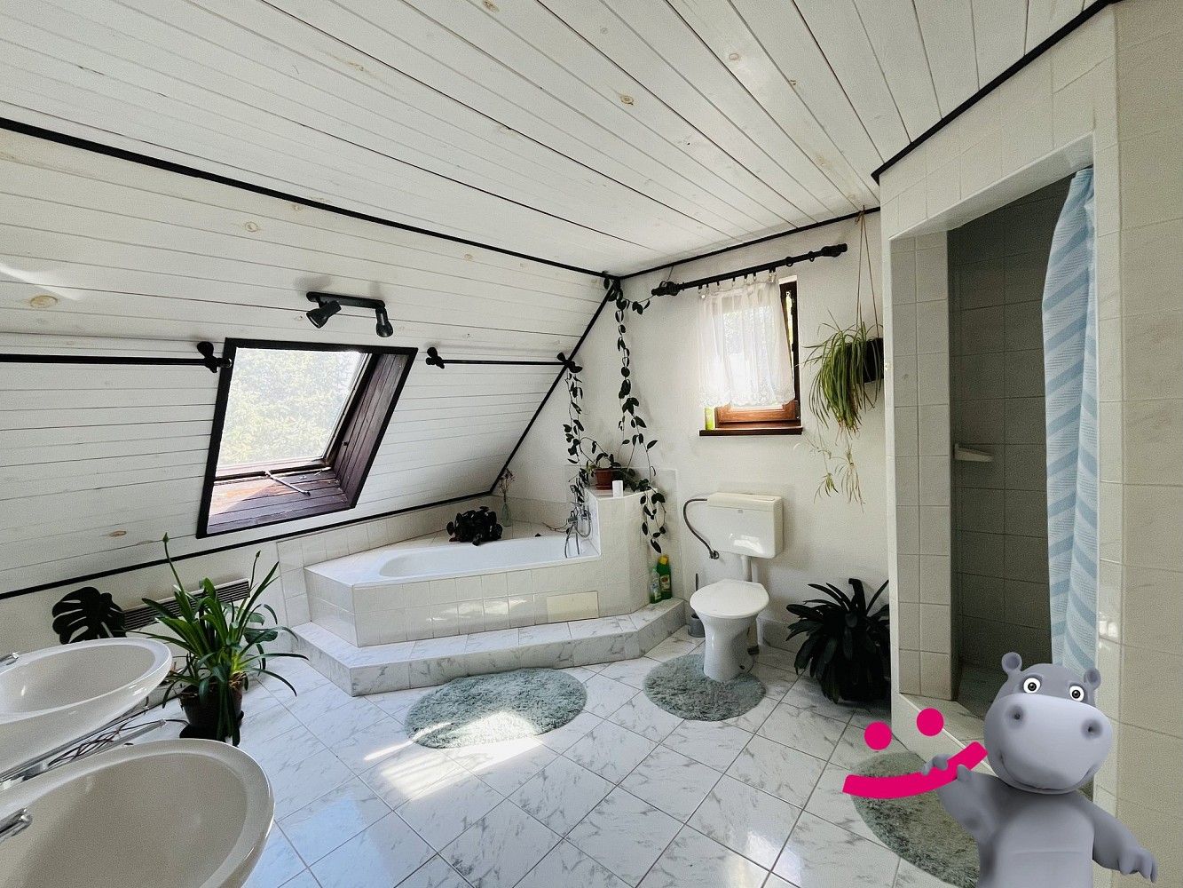 Rodinný dům · 446 m² · Černá Voda, okres Jeseník - 4