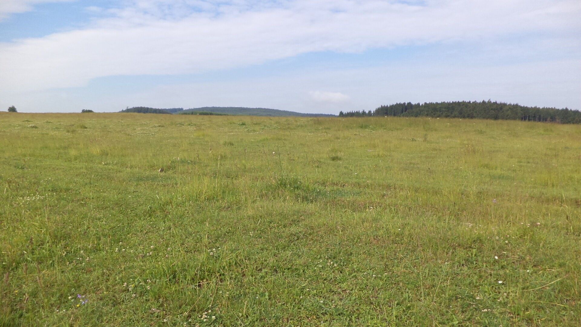 Prodej pozemek - Horní Štěpánov, 4 m²