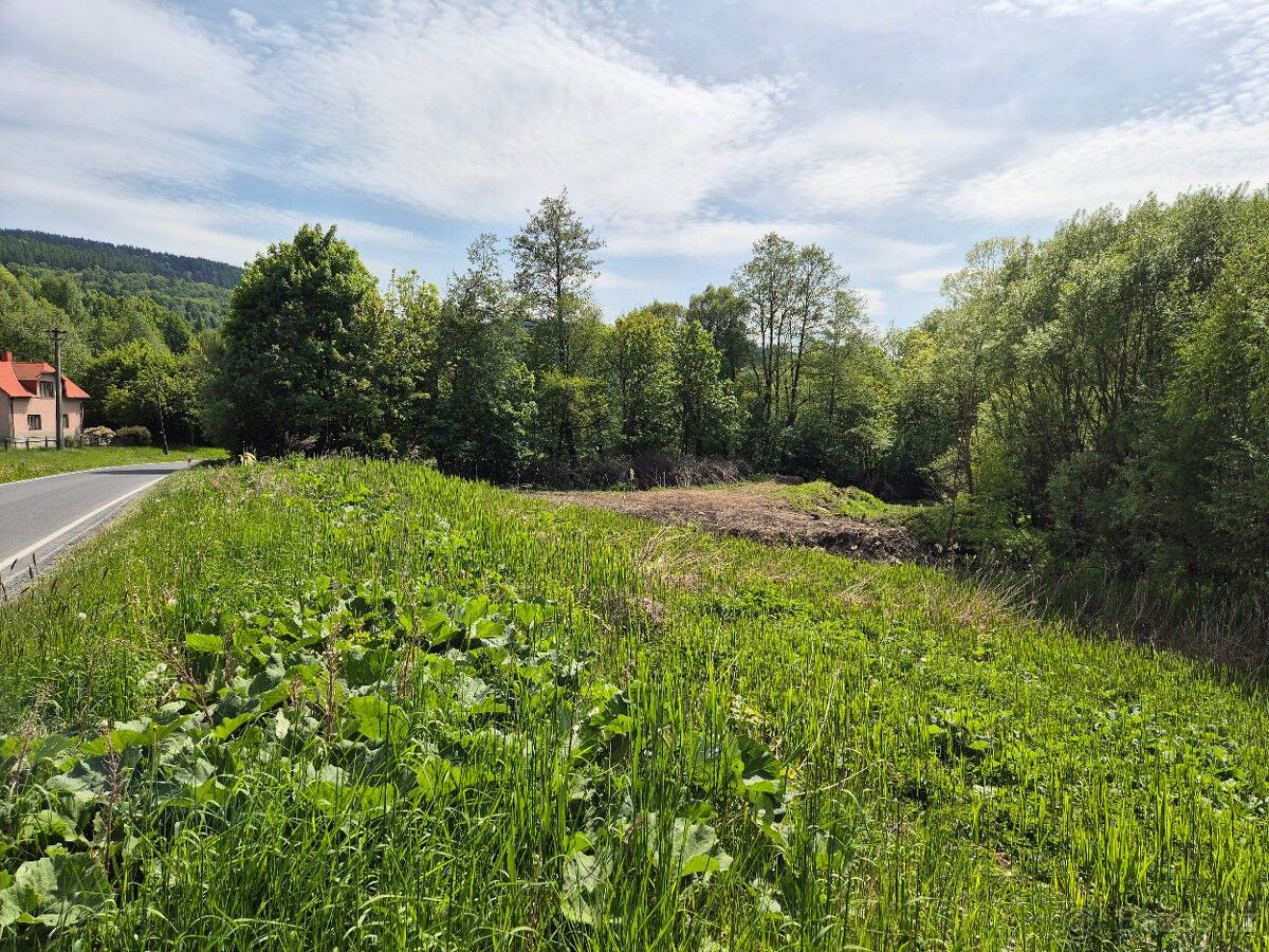 Pozemky pro bydlení, Hraběšice, 788 15