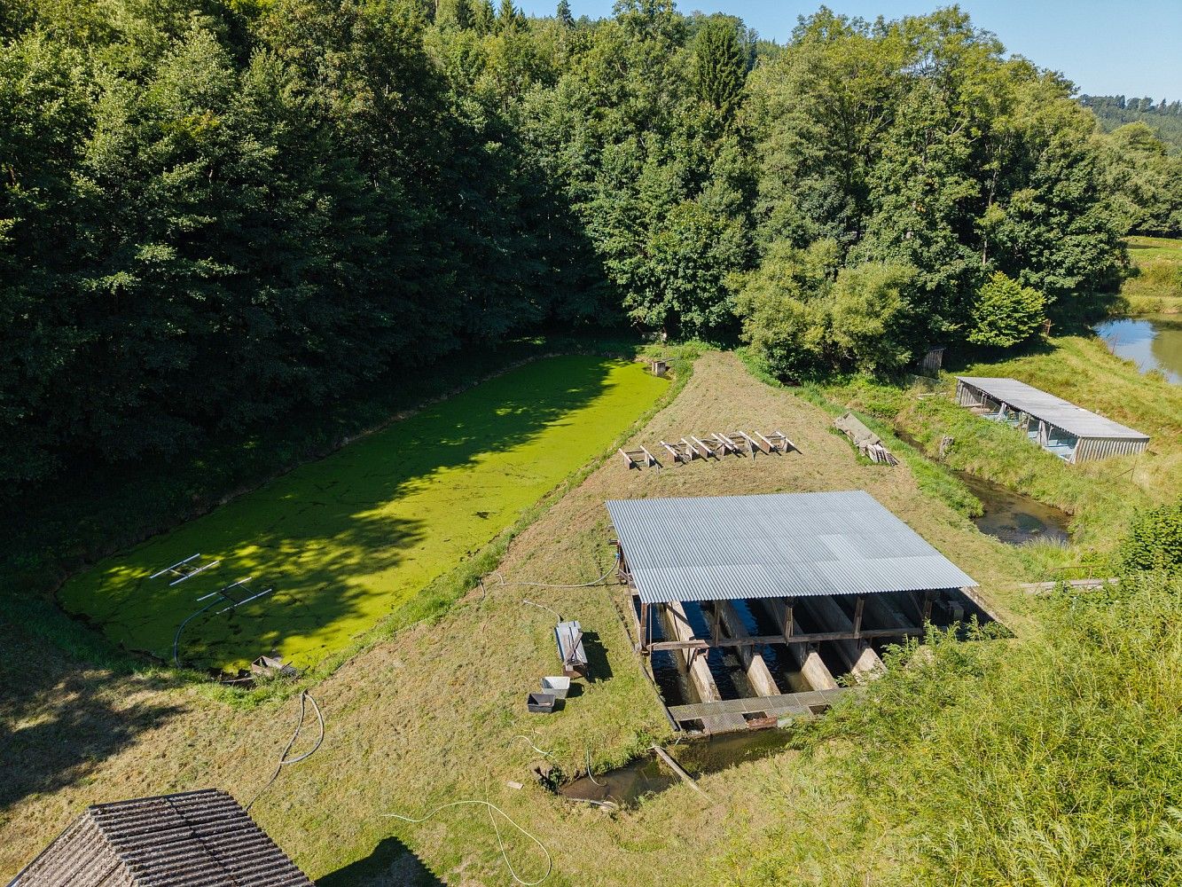 Rybník · Nové Hrady, okres Ústí nad Orlicí, Pardubický kraj - 3