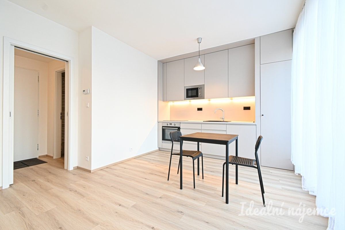 1+kk, Rybářská, Brno, 29 m²