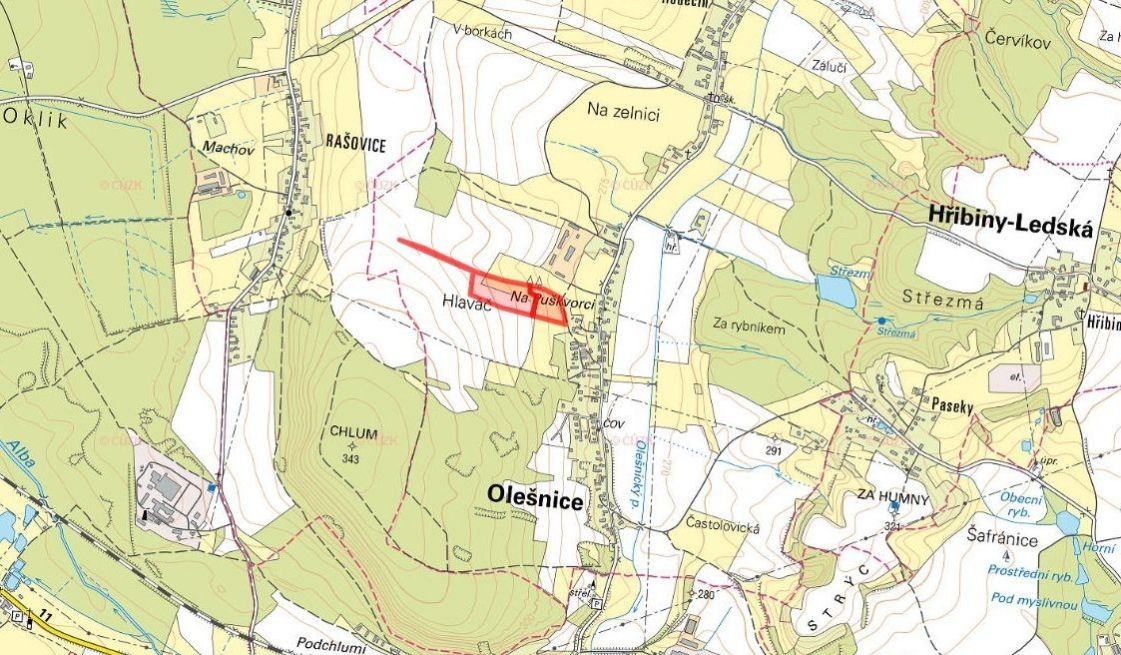 Prodej zemědělský pozemek - Olešnice