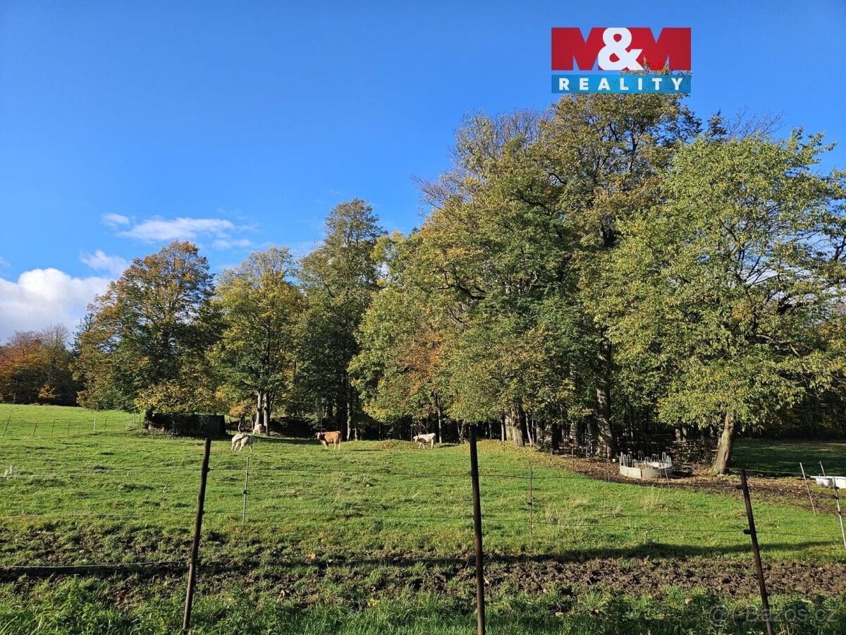 Pozemky pro bydlení, Zlaté Hory v Jeseníkách, 793 76