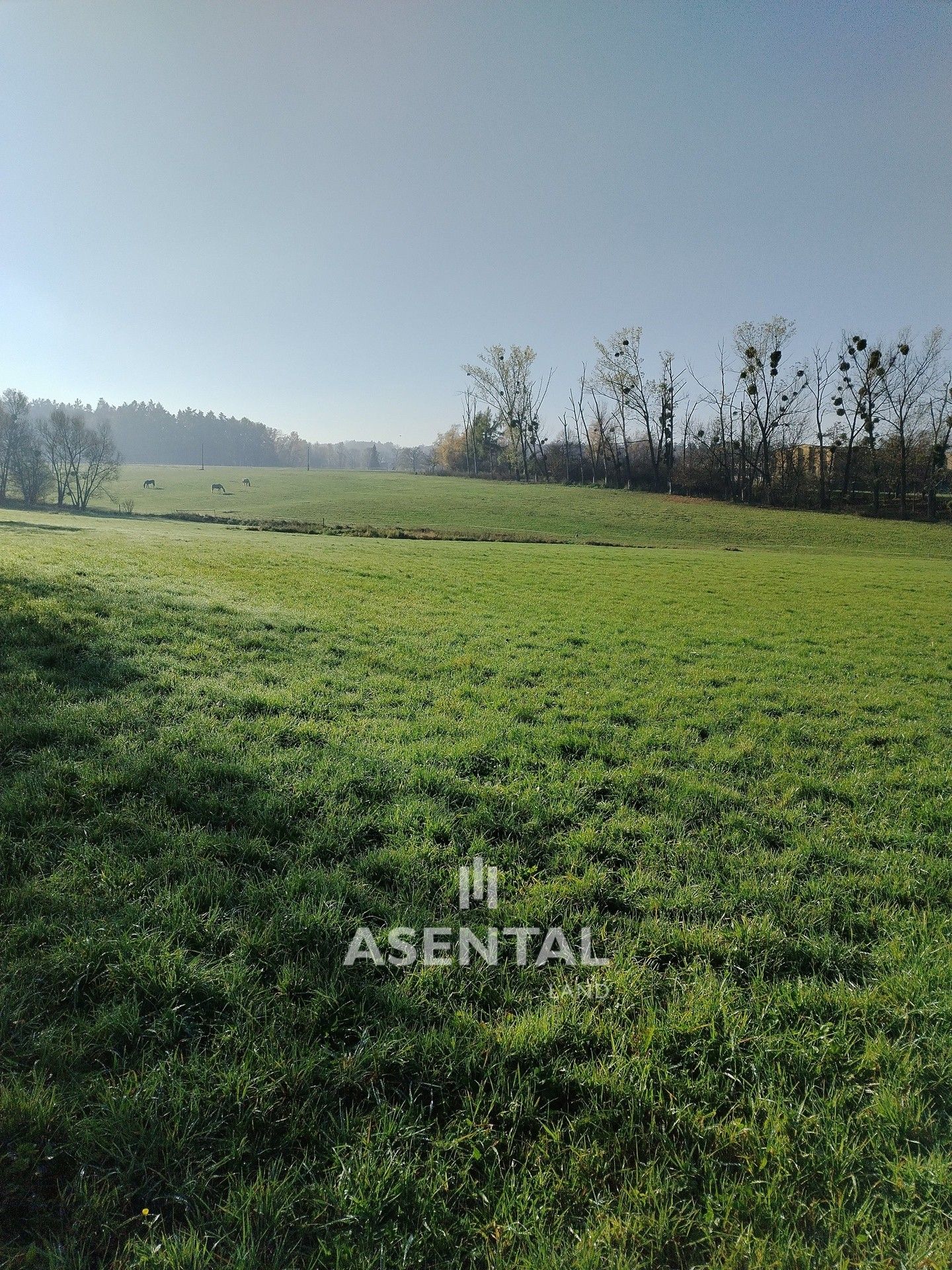 Prodej zemědělský pozemek - Kolmá, Horní Suchá