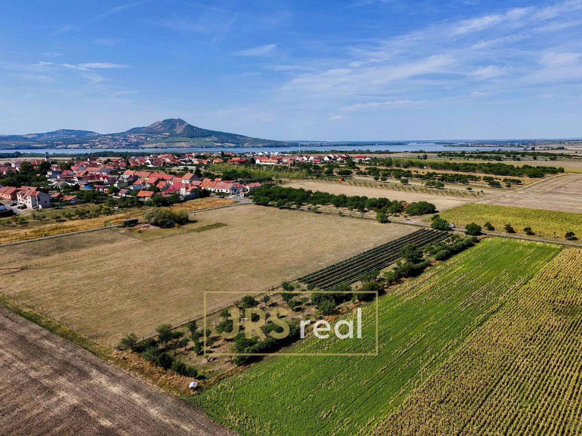 Zemědělský pozemek · Šakvice - 4