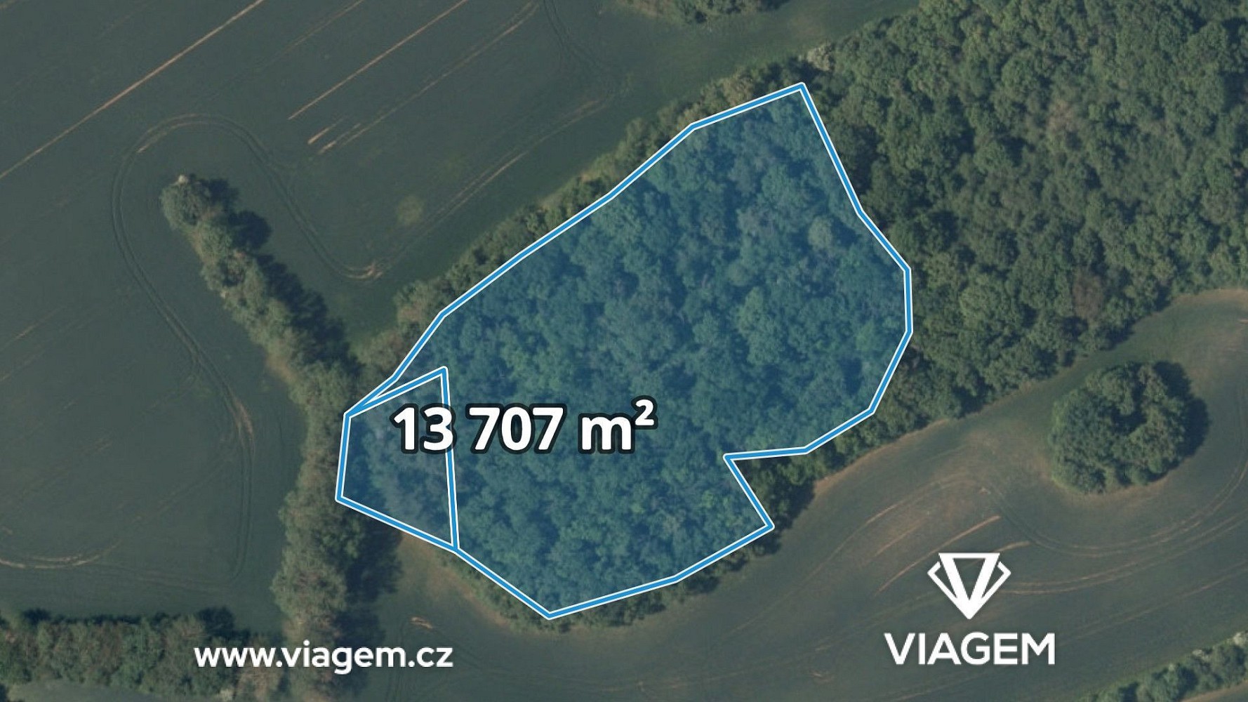 Les, 13 707 m²