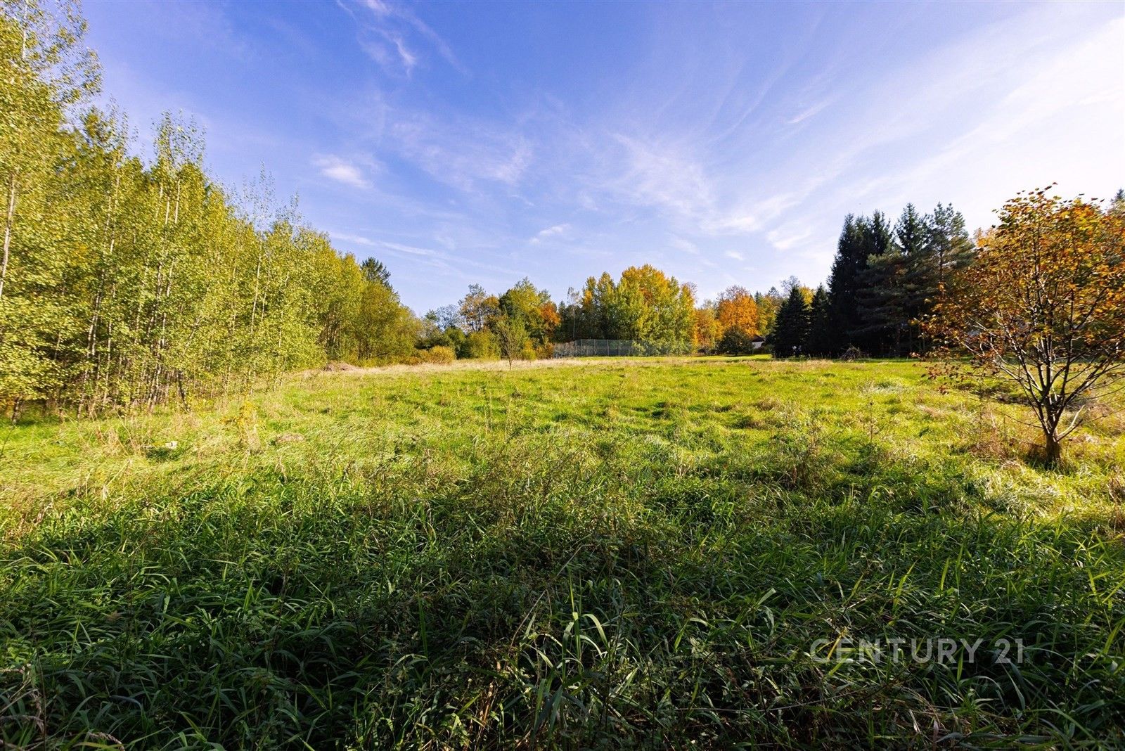 Prodej pozemek pro bydlení - Jevany