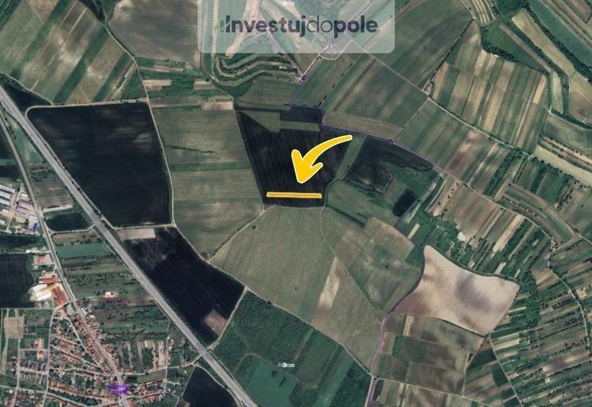 Prodej zemědělský pozemek - Starovičky, 2 804 m²